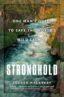Book cover of Stronghold