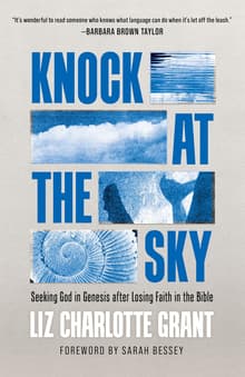 Book cover of Knock at the Sky