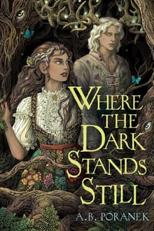 Book cover of Where the Dark Stands Still