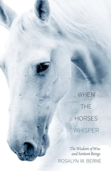 Book cover of When the Horses Whisper
