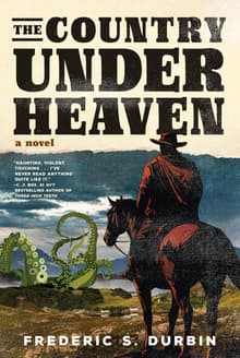Book cover of The Country Under Heaven