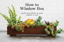 Book cover of How to Window Box: Small-Space Plants to Grow Indoors or Out