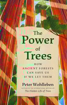 Book cover of The Power of Trees: How Ancient Forests Can Save Us if We Let Them