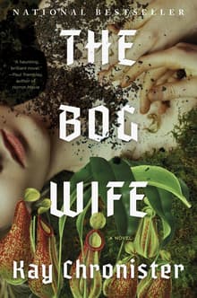 Book cover of The Bog Wife