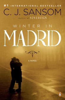Book cover of Winter in Madrid