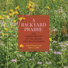 Book cover of A Backyard Prairie: The Hidden Beauty of Tallgrass and Wildflowers