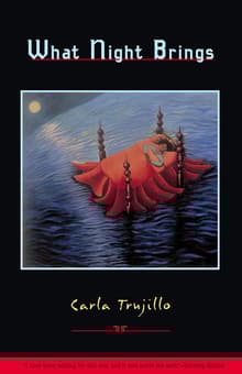 Book cover of What Night Brings