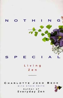 Book cover of Nothing Special