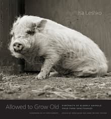 Book cover of Allowed to Grow Old: Portraits of Elderly Animals from Farm Sanctuaries