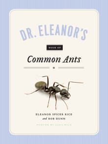 Book cover of Dr. Eleanor's Book of Common Ants
