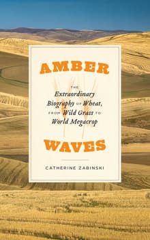 Book cover of Amber Waves: The Extraordinary Biography of Wheat, from Wild Grass to World Megacrop