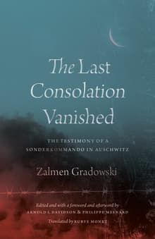 Book cover of The Last Consolation Vanished: The Testimony of a Sonderkommando in Auschwitz