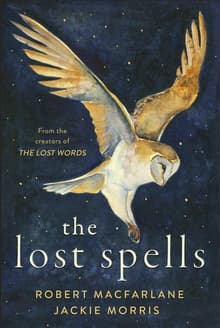 Book cover of The Lost Spells