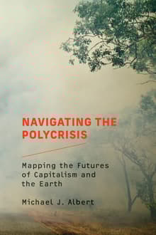 Book cover of Navigating the Polycrisis: Mapping the Futures of Capitalism and the Earth