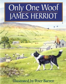 Book cover of Only One Woof