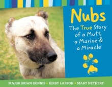 Book cover of Nubs