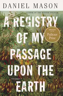 Book cover of A Registry of My Passage Upon the Earth: Stories