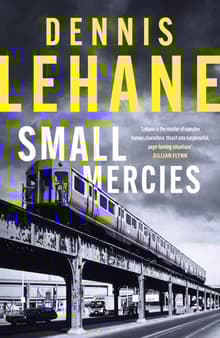 Book cover of Small Mercies