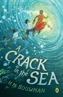 Book cover of A Crack in the Sea