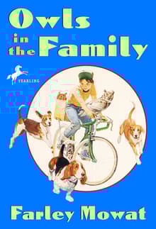 Book cover of Owls in the Family