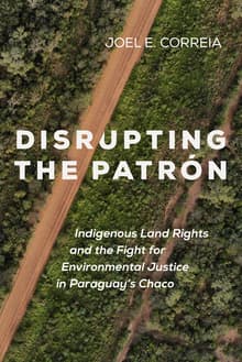 Book cover of Disrupting the Patron: Indigenous Land Rights and the Fight for Environmental Justice in Paraguay's Chaco