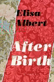 Book cover of After Birth