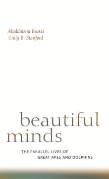 Book cover of Beautiful Minds