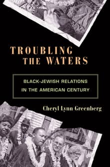 Book cover of Troubling the Waters: Black-Jewish Relations in the American Century