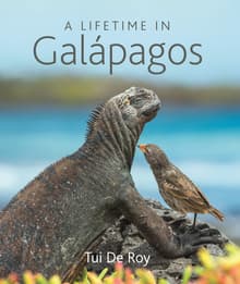 Book cover of A Lifetime in Galápagos