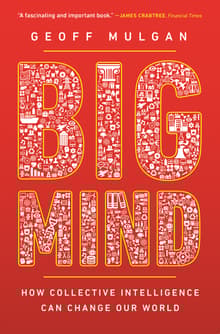 Book cover of Big Mind: How Collective Intelligence Can Change Our World