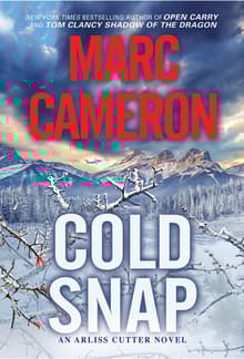 Book cover of Cold Snap