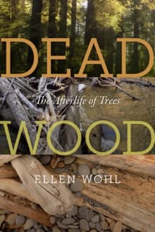 Book cover of Dead Wood: The Afterlife of Trees