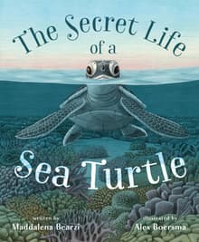 Book cover of The Secret Life of a Sea Turtle