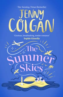 Book cover of The Summer Skies