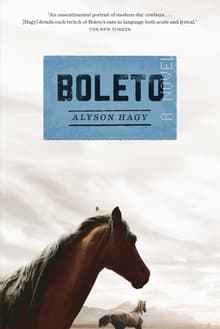 Book cover of Boleto