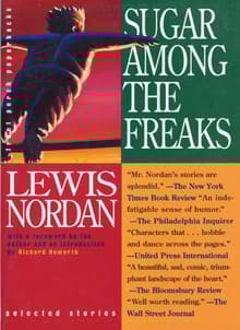Book cover of Sugar Among the Freaks