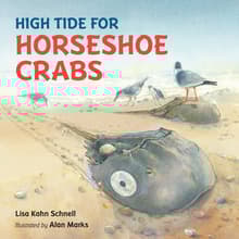 Book cover of High Tide for Horseshoe Crabs