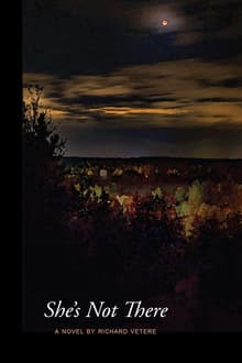Book cover of She's Not There