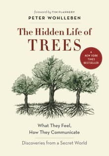 Book cover of The Hidden Life of Trees