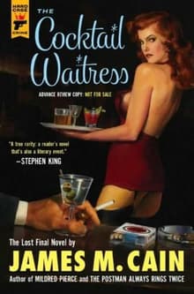 Book cover of The Cocktail Waitress