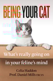 Book cover of Being Your Cat: What's Really Going On in Your Feline's Mind