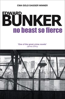 Book cover of No Beast So Fierce