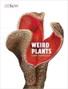 Book cover of Weird Plants
