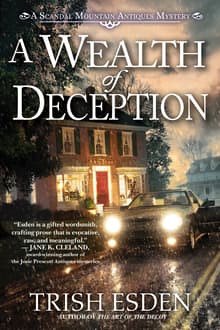 Book cover of A Wealth Of Deception