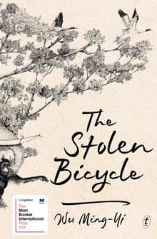 Book cover of The Stolen Bicycle