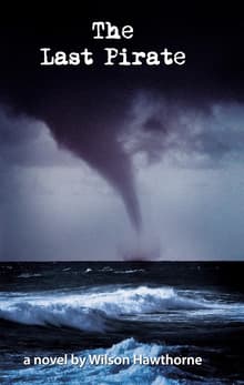 Book cover of The Last Pirate