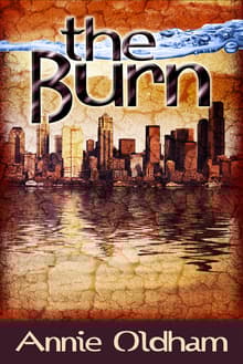 Book cover of The Burn