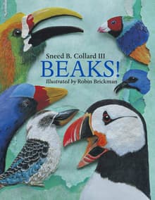 Book cover of Beaks!