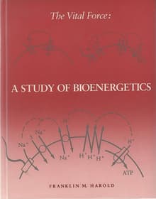 Book cover of The Vital Force: A Study of Bioenergetics