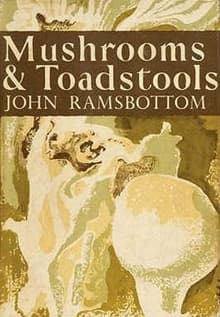 Book cover of Mushrooms and Toadstools, A Study of the Activities of Fungi